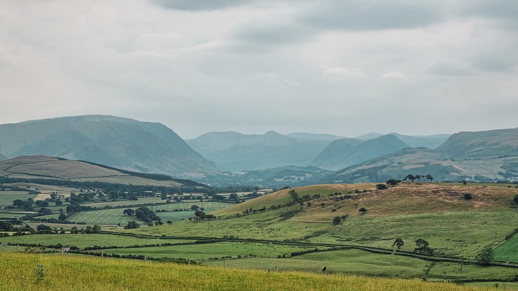 Echoes of the&nbsp;past