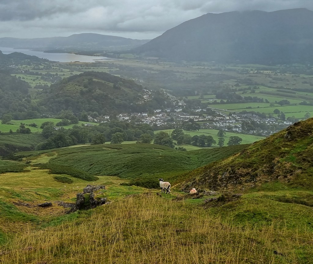 The fells – endless pillars of&nbsp;strength